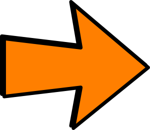 Arrow pointing to the Right in Orange