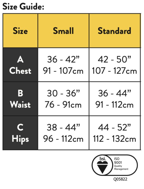 RGH2 Harness Restraint Kit - Training Plus - Health & Safety Courses